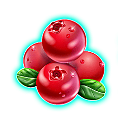 Icon 3 Winterberries