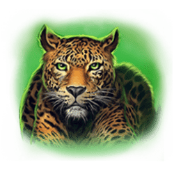 Icon 4 Way Of The Tiger