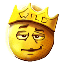 Wild Symbol of Geese With Attitude Slot