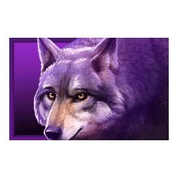 Icon 3 Immortal Ways Buffalo