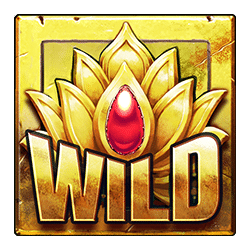 Wild Symbol of Katmandu Gold Slot