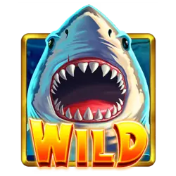 Wild Symbol of Coin Crusher Slot