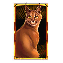 Icon 5 Wild Cats Multiline™