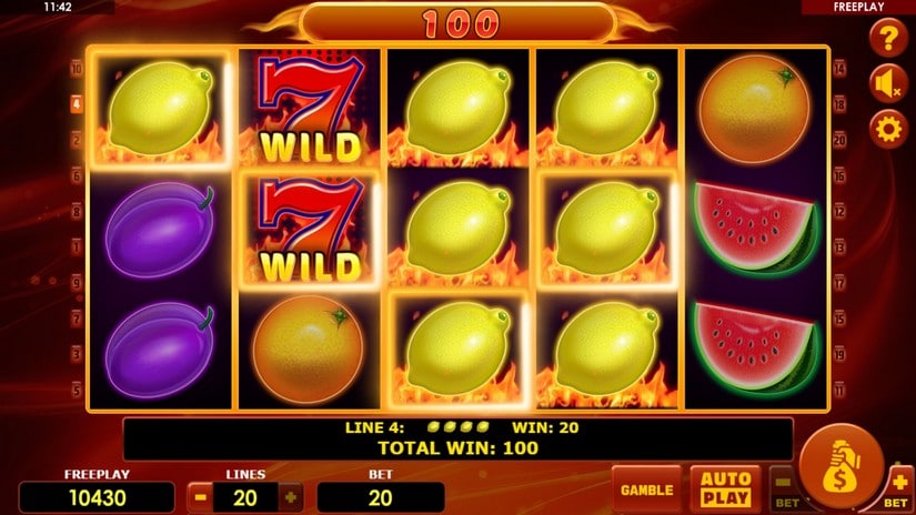 Hot Fruits 20 slot screen 5