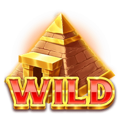 Wild Symbol of Mummy Coins Slot