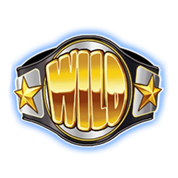 Wild Symbol of It’s Time Slot