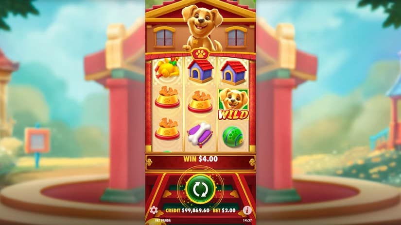 Cachorro Sortudo slot screen 4