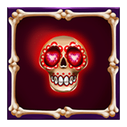 Icon 5 Mariachi Afortunado