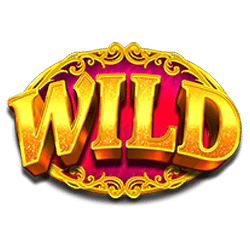 Wild Symbol of Bank Vault Slot