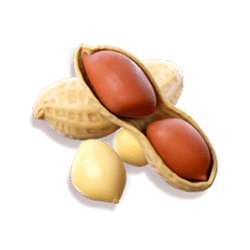 Icon 6 Fortune Mouse