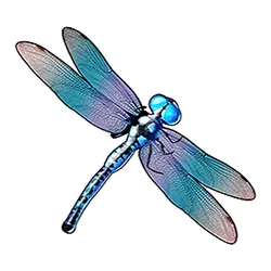 Icon 3 888 Big Bass Bonanza