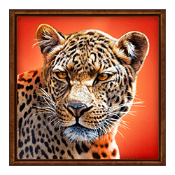 Icon 2 Solar Eclipse