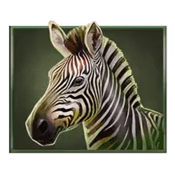 Icon 4 Savannah Pride