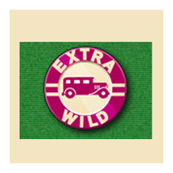 Wild Symbol of Billyonaire Slot