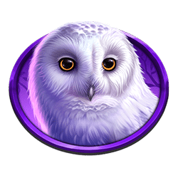 Icon 3 Timber Stacks