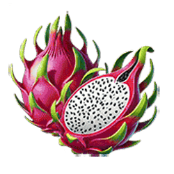 Icon 8 Crouching Tiger