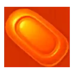 Icon 9 Sugar Teddy x1000