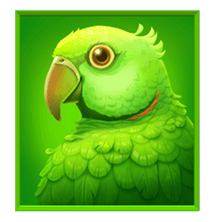 Icon 3 Jungle Jamboree