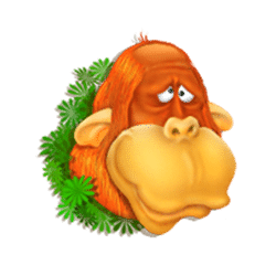 Icon 1 Monkey Jackpot