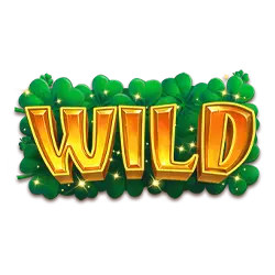 Wild Symbol of Patrick’s Luck: Hold The Spin Slot