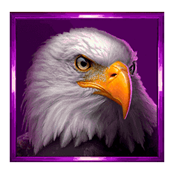 Icon 5 Buffalo Coin: Hold The Spin