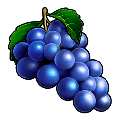 Icon 4 Striking Hot 5