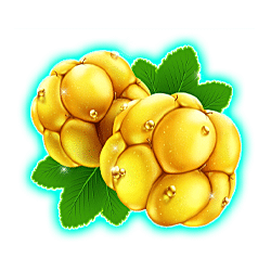 Icon 1 Winterberries