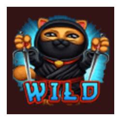 Wild Symbol of Midnight in Tokyo Slot