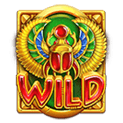 Wild Symbol