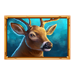 Icon 5 Wolf Reels Rapid Link