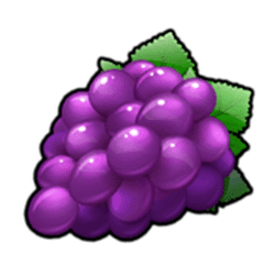 Icon 4 Super Wild Fruits