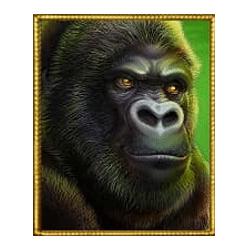 Icon 1 Silverback Multiplier Mountain