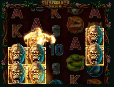 Silverback Attack Feature