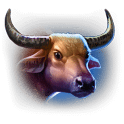 Icon 4 Tiger Stone: Hold and Win