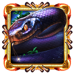 Icon 4 Book Of Panther Wild Dawn