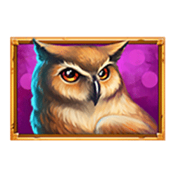 Icon 4 Wolf Reels Rapid Link