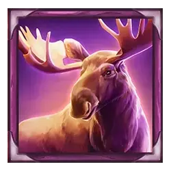 Icon 4 Big Bucks Bison 10K Ways