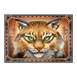 Wild Symbol of Wild North Slot