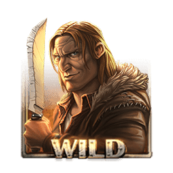 Wild Symbol of Dead or Alive 2 Slot