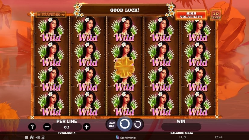 Hawaiian Bliss slot screen 4