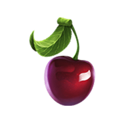 Icon 8 FatStacks Miami Cash