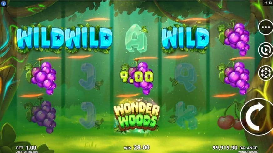 Wonder Woods slot screen 3