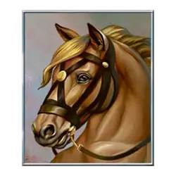 Icon 3 Napoleon Megaways