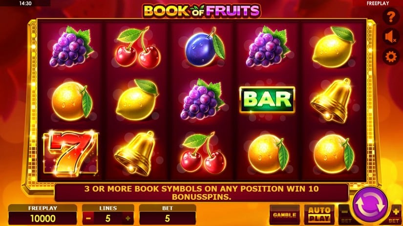Book of Fruits slot screen 1