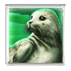 Icon 4 Wolf Fang Snowfall