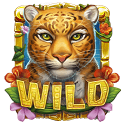 Scatter of Rainforest Magic Slot