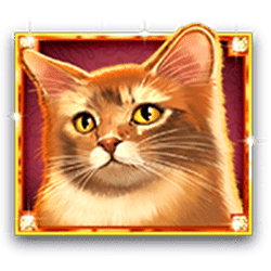 Icon 2 Kitty Glitter Grand