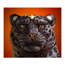 Icon 2 Panthers Reign